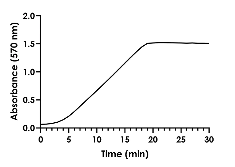 Functional Studies - Adenylate Cyclase Activity Assay (AB323608)