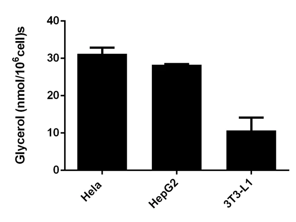 Functional Studies - Adipogenesis Detection Assay Kit (Colorimetric/Fluorometric) (AB102513)