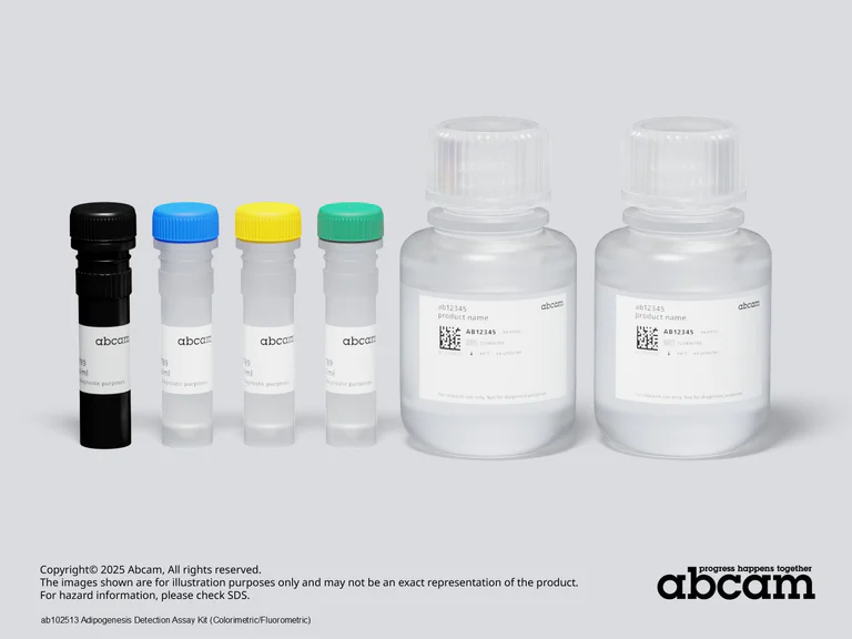 Schematic Diagram - Adipogenesis Detection Assay Kit (Colorimetric/Fluorometric) (AB102513)