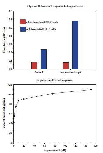 Functional Studies - Adipolysis Assay Kit (AB133115)