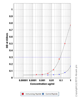 ELISA - Anti-Adipose Triglyceride Lipase (phospho S406) antibody (AB135093)