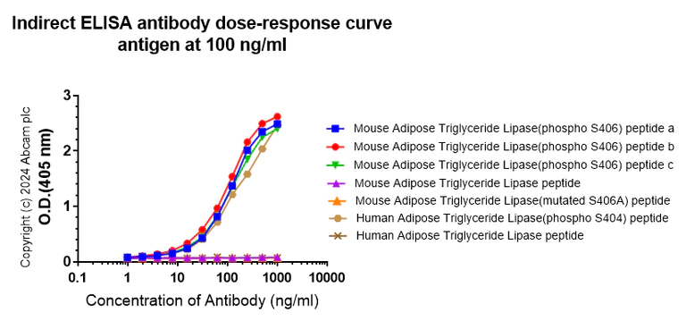 ELISA - Anti-Adipose Triglyceride Lipase (phospho S406) antibody [EPR27159-29] (AB317610)