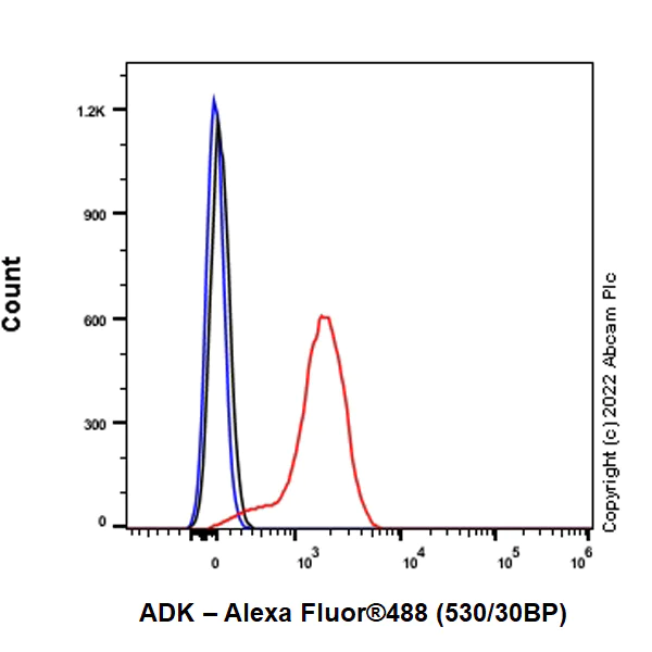 Flow Cytometry (Intracellular) - Anti-ADK antibody [EPR27497-67] (AB307357)