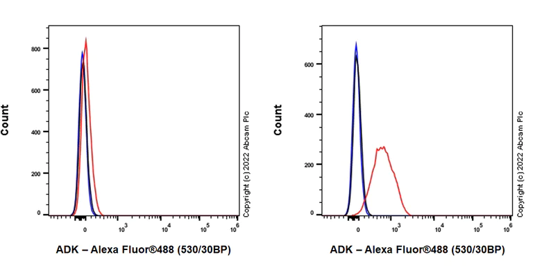 Flow Cytometry (Intracellular) - Anti-ADK antibody [EPR27497-67] (AB307357)