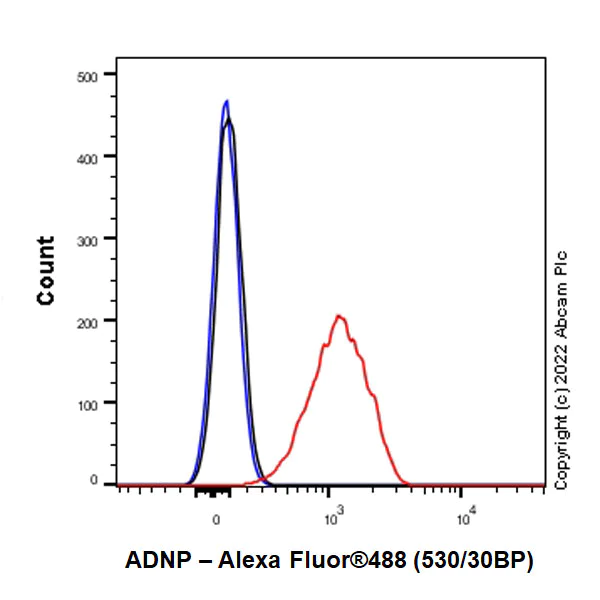 Flow Cytometry (Intracellular) - Anti-ADNP antibody [EPR25434-4] - BSA and Azide free (AB300115)