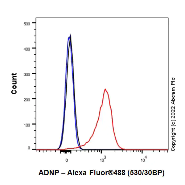 Flow Cytometry (Intracellular) - Anti-ADNP antibody [EPR25434-4] - BSA and Azide free (AB300115), expandable thumbnail