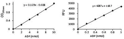 Functional Studies - ADP Assay Kit (Colorimetric/Fluorometric) (AB83359)