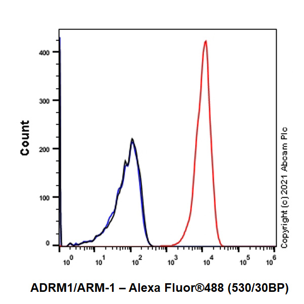 Flow Cytometry - Anti-ADRM1/ARM-1 antibody [EPR11449(B)] - BSA and Azide free (AB249293), expandable thumbnail
