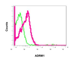 Flow Cytometry (Intracellular) - Anti-ADRM1/ARM-1 antibody [EPR11450(B)] - BSA and Azide free (AB249319)