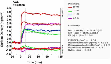 OI-RD Scanning - Anti-AGL/Alpha-glucosidase antibody [EPR8880] (ab133720), expandable thumbnail