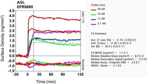 OI-RD Scanning - Anti-AGL/Alpha-glucosidase antibody [EPR8880] (AB133720)