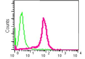 Flow Cytometry (Intracellular) - Anti-AGPS antibody [EPR13120] - N-terminal (AB184186)