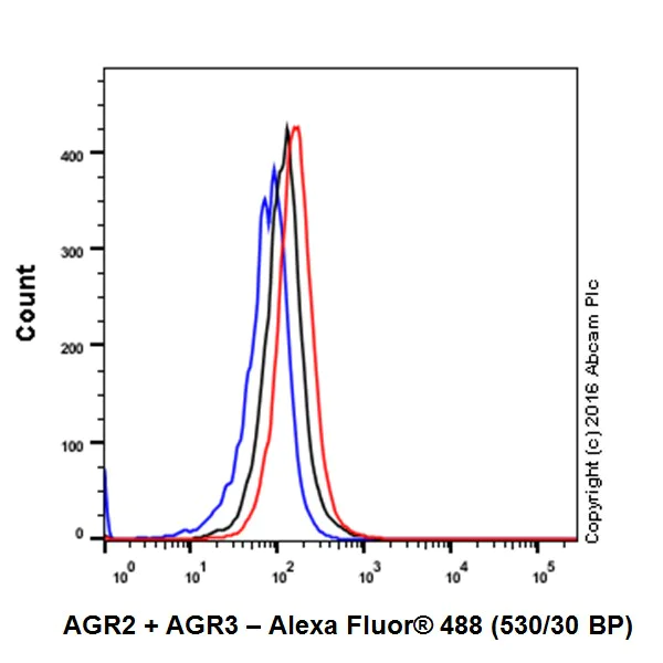Flow Cytometry (Intracellular) - Anti-AGR2 + AGR3 antibody [EPR20164-222] (AB216071)