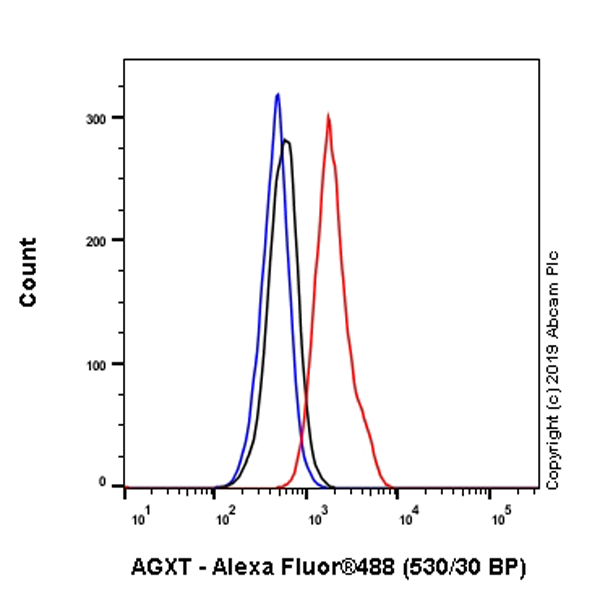 Flow Cytometry (Intracellular) - Anti-AGXT antibody [EPR22885-58] (AB261910), expandable thumbnail