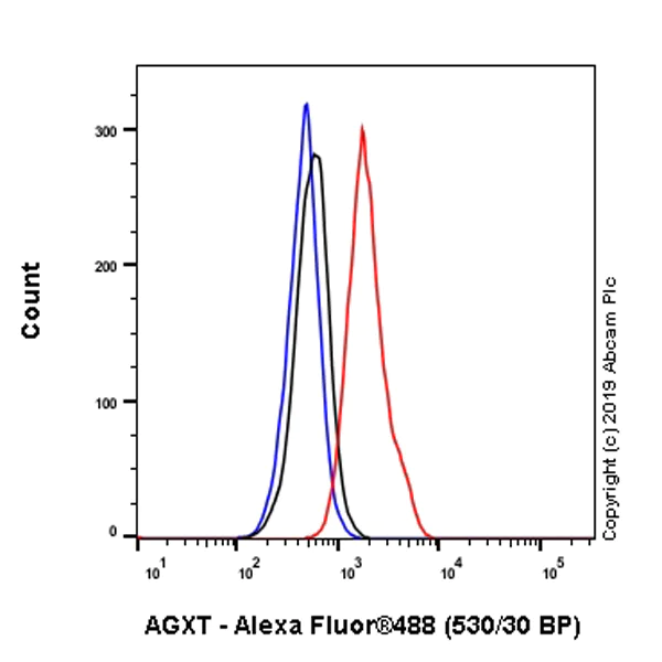 Flow Cytometry (Intracellular) - Anti-AGXT antibody [EPR22885-58] - BSA and Azide free (AB261914)
