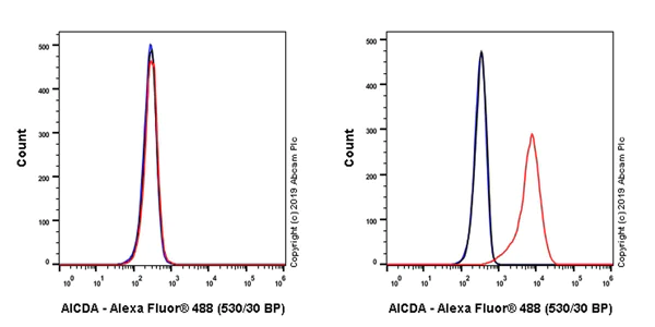 Flow Cytometry (Intracellular) - Anti-AICDA antibody [EPR23436-45] - ChIP Grade - BSA and Azide free (AB269457)