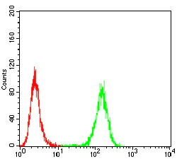 Flow Cytometry - Anti-AIM2 antibody [3C4G11] (AB204995)