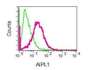 Flow Cytometry (Intracellular) - Anti-AIPL1 antibody [EPR7711] (AB128960)