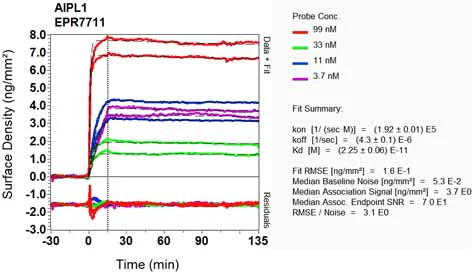 OI-RD Scanning - Anti-AIPL1 antibody [EPR7711] (AB128960)