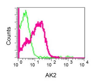 Flow Cytometry (Intracellular) - Anti-AK2 antibody [EPR11387(B)] (AB157206), expandable thumbnail