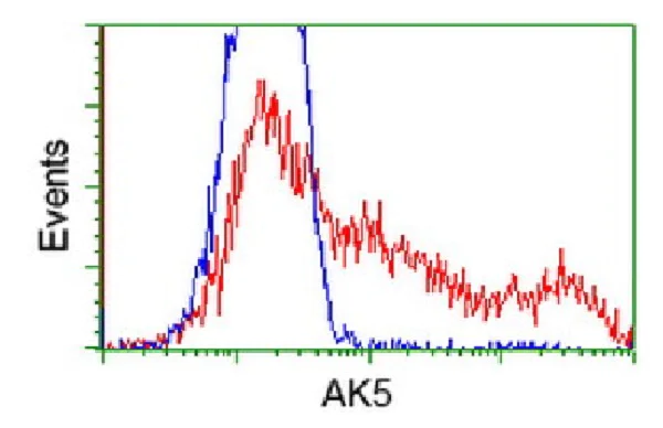 Flow Cytometry - Anti-AK5 antibody [OTI1D6] (AB117927)