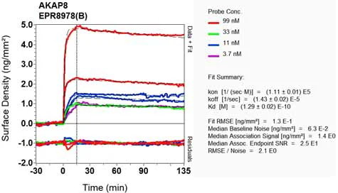 OI-RD Scanning - Anti-AKAP 95 antibody [EPR8978(B)] - BSA and Azide free (AB248732)