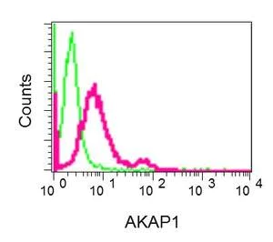 Flow Cytometry (Intracellular) - Anti-AKAP1 antibody [EPR10518] (AB156004)