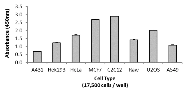 Sandwich ELISA - AKT 1/2/3 pS473 + AKT 1/2/3 Total ELISA Kit (AB253299)