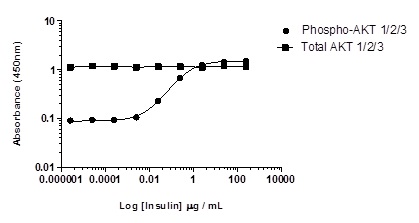 Sandwich ELISA - AKT 1/2/3 pS473 + AKT 1/2/3 Total ELISA Kit (AB253299), expandable thumbnail
