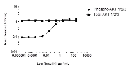Sandwich ELISA - AKT 1/2/3 pS473 + AKT 1/2/3 Total ELISA Kit (AB253299)