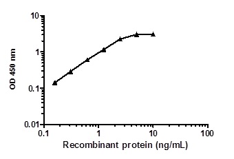 Sandwich ELISA - AKT 1/2/3 Total ELISA Kit (AB253298)