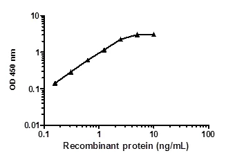 Sandwich ELISA - AKT 1/2/3 Total ELISA Kit (AB253298)
