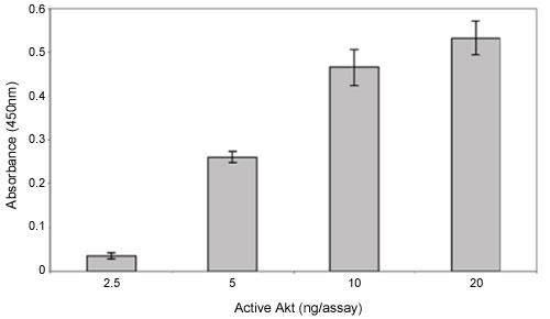 Functional Studies - Akt Kinase Activity Assay Kit (AB139436)