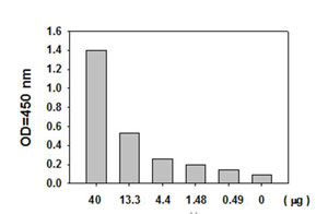 Sandwich ELISA - Akt (pS473) + total Akt ELISA Kit (AB126433), expandable thumbnail