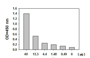 Élisaページ Allex Slim 100 Stainless Steel Scissors (Fluorine Coating