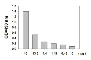 Sandwich ELISA - AKT1 + AKT2 + AKT3 (pS473) ELISA Kit (AB126432)