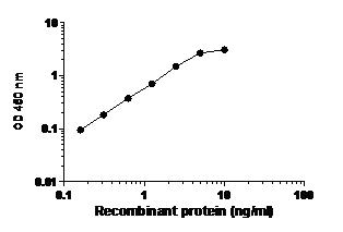 ELISA - AKT1 + AKT2 + AKT3 (pS473) ELISA Kit (AB176635)