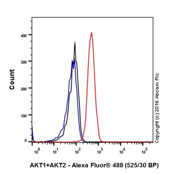 Flow Cytometry (Intracellular) - Anti-AKT1 + AKT2 antibody [EPR17062] - BSA and Azide free (AB250634)