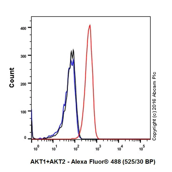 Flow Cytometry (Intracellular) - Anti-AKT1 + AKT2 antibody [EPR17062] - BSA and Azide free (AB250634)