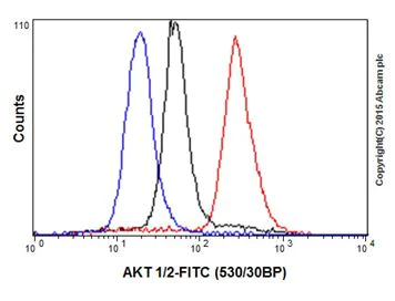 Flow Cytometry (Intracellular) - Anti-AKT1 + AKT2 antibody [EPR18405] (AB188099)