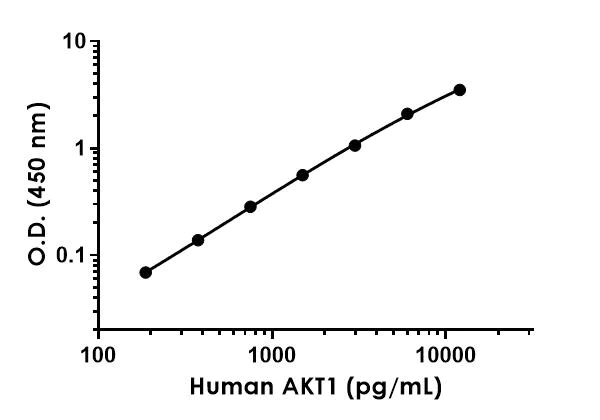 Sandwich ELISA - Anti-AKT1 + AKT3 antibody [EPR16798-68] - BSA and Azide free (Detector) (AB242865)