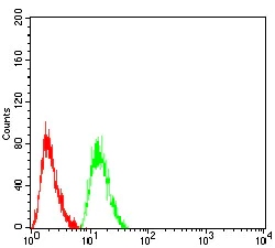 Flow Cytometry - Anti-AKT1 antibody [1F7E10] (AB233755)