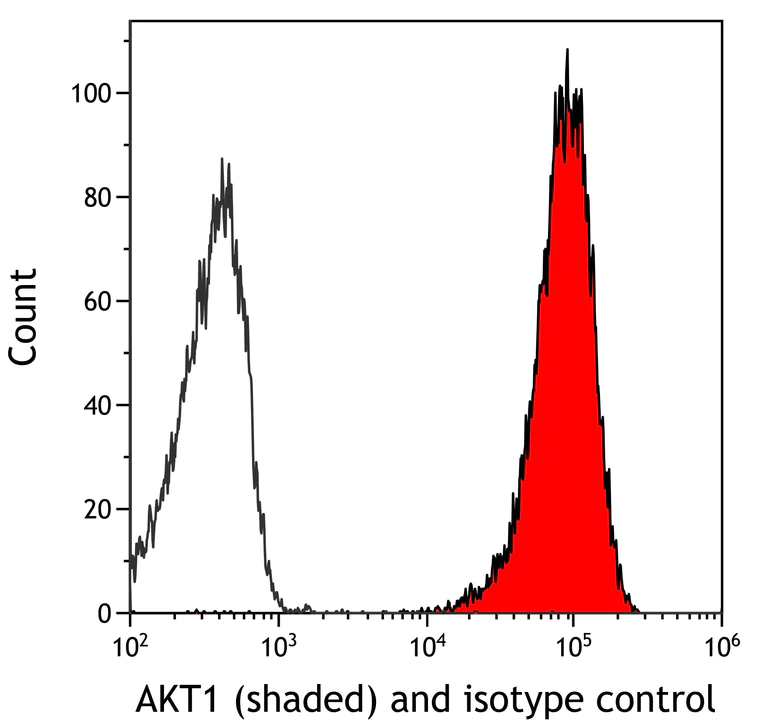 Flow Cytometry - Anti-AKT1 antibody [BLR245L] (AB314110)
