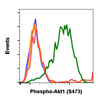 Flow Cytometry - Anti-AKT1 (phospho S473) antibody [AktS473-B9] (AB278559)
