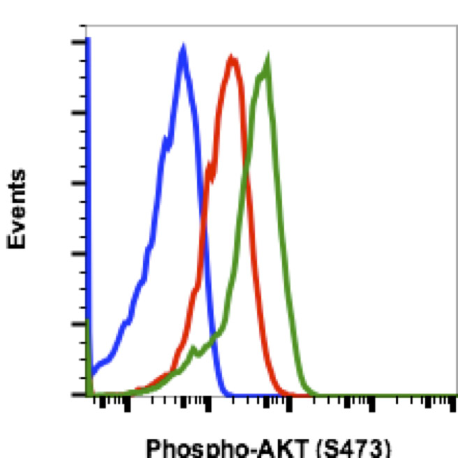 Flow Cytometry - Anti-AKT1 (phospho S473) antibody [AktS473-B9] (AB278559), expandable thumbnail