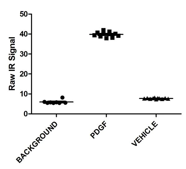 In-Cell ELISA - Anti-AKT1 (phospho S473) antibody [EP2109Y] - BSA and Azide free (AB215873)