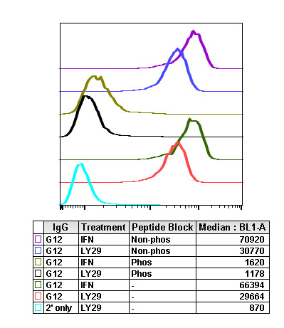 Flow Cytometry - Anti-AKT1 (phospho T308) antibody [AktT308-G12] (AB278565)