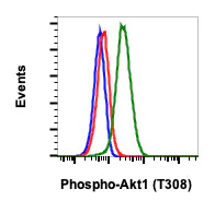 Flow Cytometry - Anti-AKT1 (phospho T308) antibody [AktT308-G12] (AB278565)