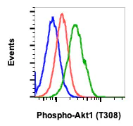 Flow Cytometry - Anti-AKT1 (phospho T308) antibody [AktT308-G12] (AB278565)