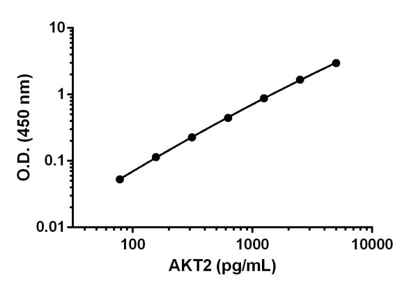 Sandwich ELISA - AKT2 ELISA Kit (AB208986)